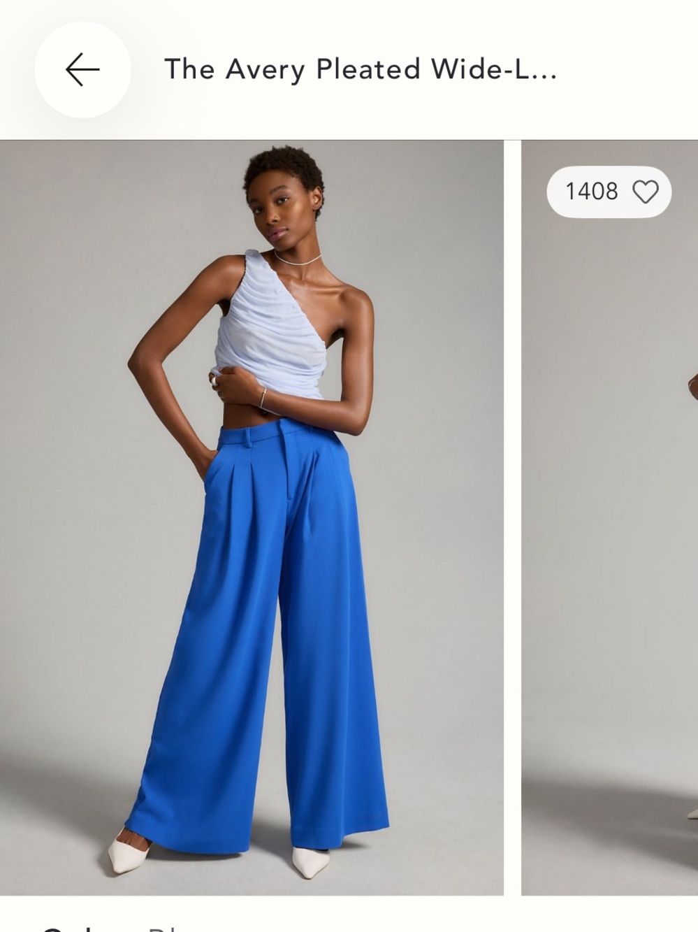 Wide-Leg Pleated Trousers in Cobalt Blue